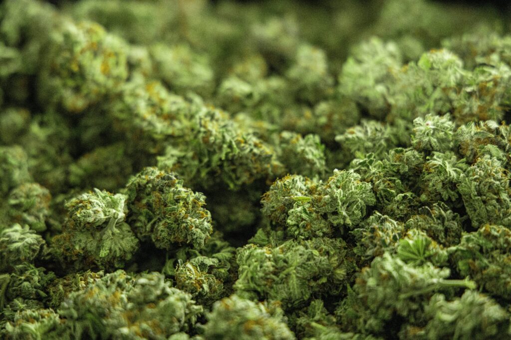 Dispensary Guide